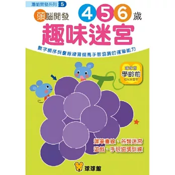 潛能開發系列-頭腦開發05：趣味迷宮4、5、6歲