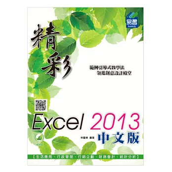 精彩 Excel 2013 中文版