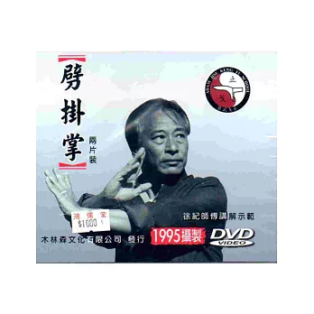 劈掛掌（DVD兩片裝）