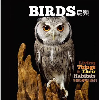 【幼兒科普】生物及棲息地系列：鳥類