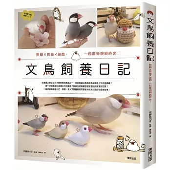 文鳥飼養日記：照顧x教養x遊戲，一起度過親親時光！