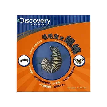 探索頻道.動物變變變.毛毛蟲變蝴蝶