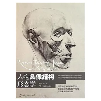 人物頭像結構形態學