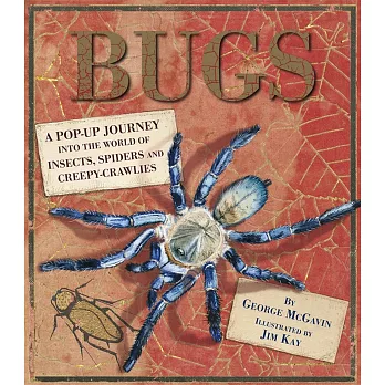Bugs : a pop-up journey into the world of insects, spiders and creepy-crawlies /