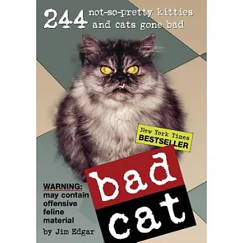 Bad Cat: 244 Not-So-Pretty Kitties And Cats Gone Bad