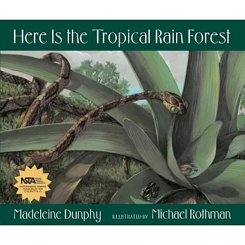 Here Is the Tropical Rain Forest