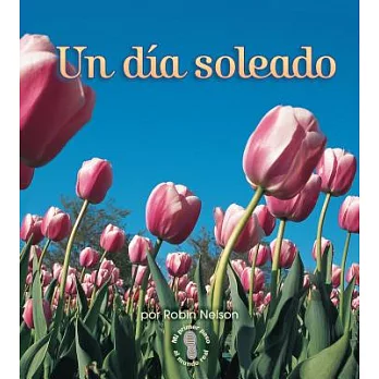 Un Dia Soleado / A Sunny Day