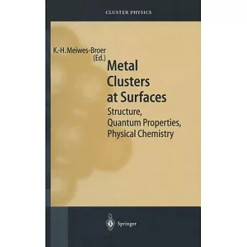 Metal Clusters at Surfaces: Structure, Quantum Properties, Physical Chemistry