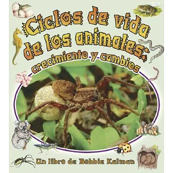 Ciclos De Vida De Los Animales/Animal’s Life Cycle: Crecimiento Y Cambios