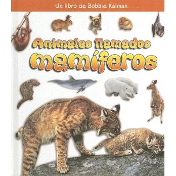 Animales Llamados Mamiferos/ Animals Called Mammals