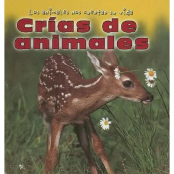 Crias De Animales/Baby Animals
