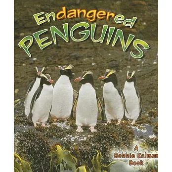 Endangered Penguins
