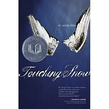 Touching Snow