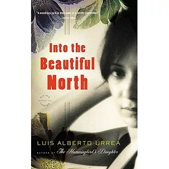 Into the Beautiful North: A Novel