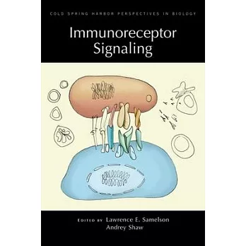 Immunoreceptor Signaling