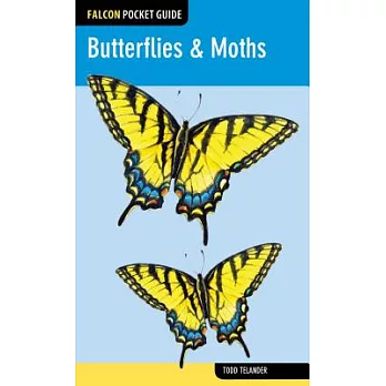 Butterflies & Moths