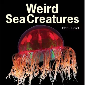 Weird Sea Creatures