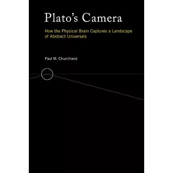 Plato’s Camera: How the Physical Brain Captures a Landscape of Abstract Universals