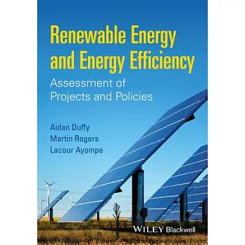 Renewable Energy and Energy Efficiency: Assessment of Projects and Policies