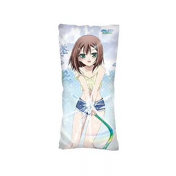 笨蛋、測驗、召喚獸-中抱枕套(2)