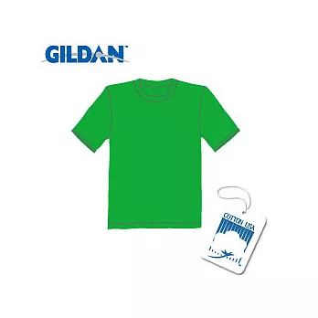 美國第一品牌GILDAN 圓筒短袖素面T-Shirt (愛爾蘭S號)