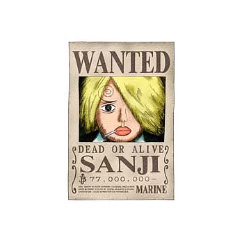 海賊王香吉士懸賞拼圖204片