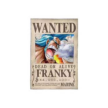 海賊王弗朗基懸賞拼圖204片