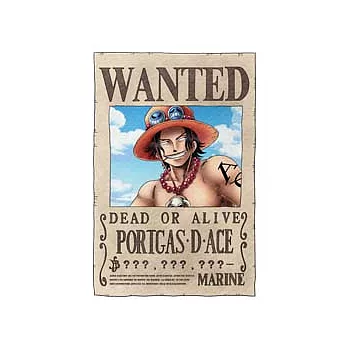 海賊王艾斯懸賞拼圖204片