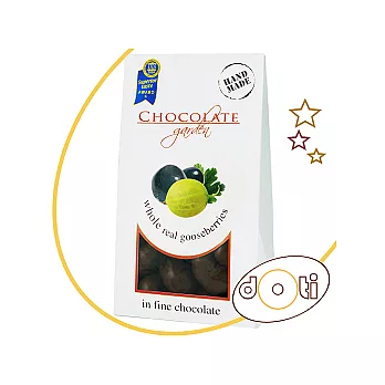 波蘭DOTI-巧克力鵝莓(125g)