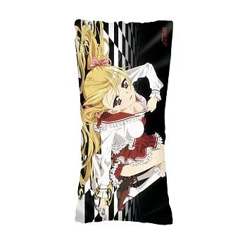 緋彈的亞莉亞-中型抱枕套-(3)