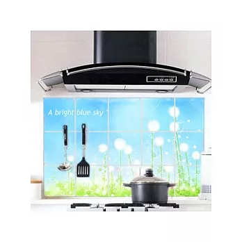 蒲公英鋁箔廚房防油貼紙