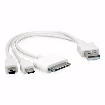 Apple 30Pin/Micro USB/Mini USB 一分三USB充電專用線白色