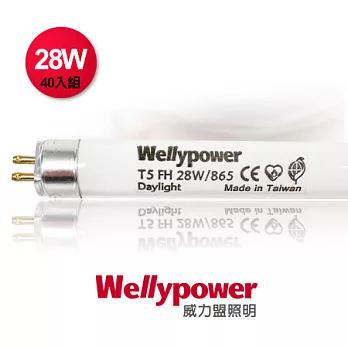 Wellypower威力盟 HE-T5燈管 28W四呎MIT 40入白光