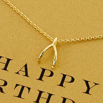 【Dogeared】美國品牌Reminder祈願K金項鍊~超靈驗許願骨K金黃 16英吋