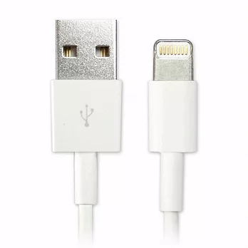 iPhone 5 / iPad mini 專用 Lightning to USB 充電傳輸線-3M