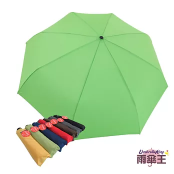 【雨傘王】BigRed日系質男傘-日質蘋果綠☆自動開收 防風耐用