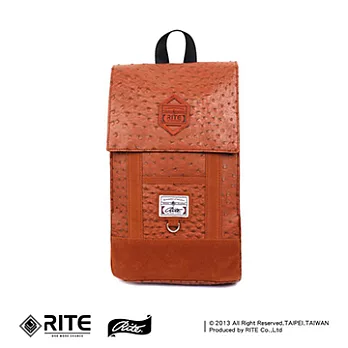 RITE 方形小書包-咖啡蛙皮
