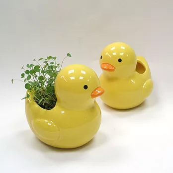 迎光-幸福小鴨陶瓷植栽