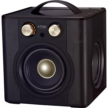 TDK 無線藍芽喇叭 (360度環繞撥放) - V513黑色