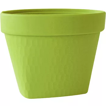 《Waybe》桌面垃圾桶(綠)