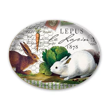 [蜜雪兒]超萌玉兔玻璃皂碟