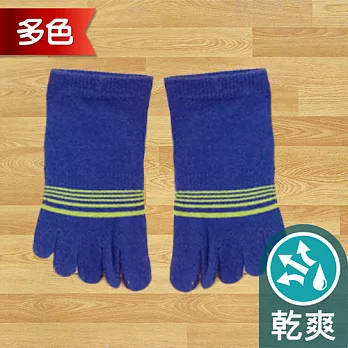 蒂巴蕾TOE SOCKS乾爽五指短襪-細條紋 寶藍