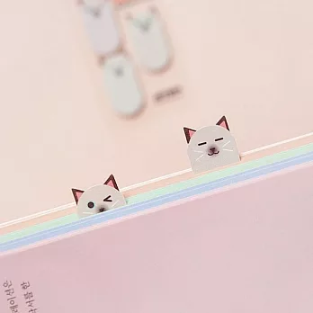 Jstory Smile 標籤貼-暹羅貓