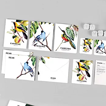 BY NACOO 插畫信封卡片組-09 森之鳥