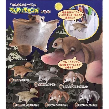 《轉蛋》掌心中的小飛鼠 進駐辦公桌 全6款 隨機出貨 -- Epoch 出品