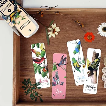 BY NACOO 繽紛主題書籤組-01 森之鳥