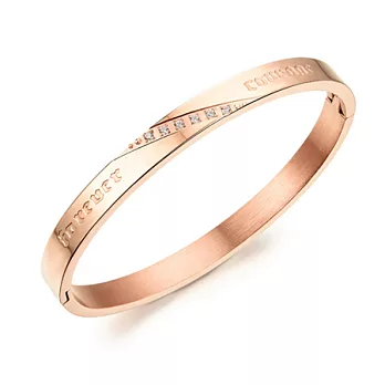 AmaZing 愛的勇氣-奢華排鑽鈦鋼情侶手環 (2色任選) 玫瑰金