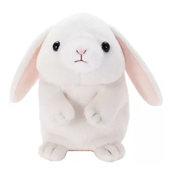 迴聲長耳兔長耳兔