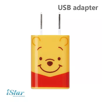 【日本 PGA-iJacket】正版迪士尼 可愛大臉經典人物豆腐充系列 USB轉接插頭 -維尼