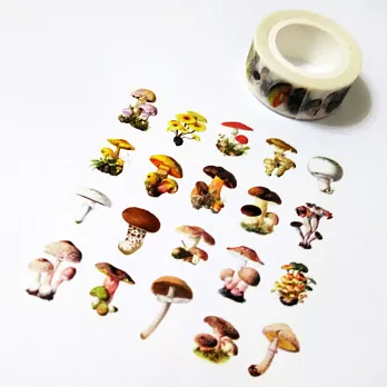 麒麟紙膠-小菇獨處